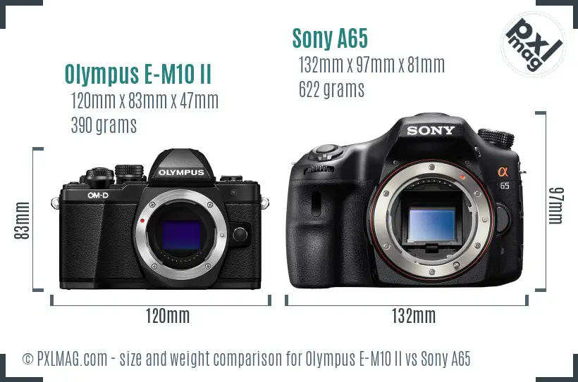 Olympus E-M10 II vs Sony A65 size comparison