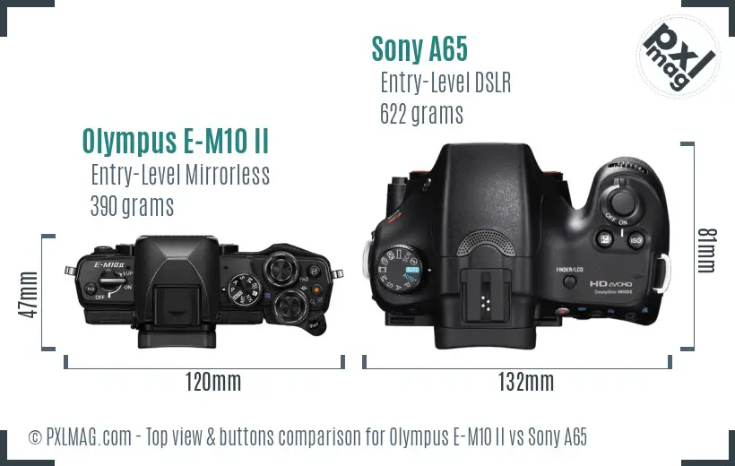 Olympus E-M10 II vs Sony A65 top view buttons comparison