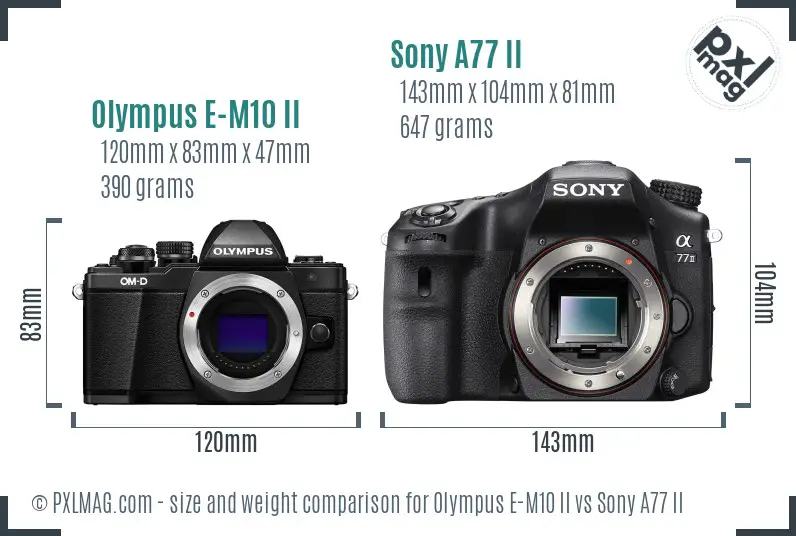 Olympus E-M10 II vs Sony A77 II size comparison Olympus E-M10 II vs Sony A77 II size comparison