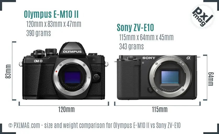 Olympus E-M10 II vs Sony ZV-E10 size comparison