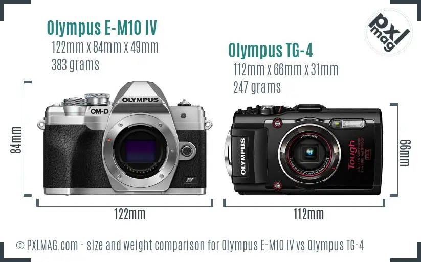 Olympus E-M10 IV vs Olympus TG-4 size comparison