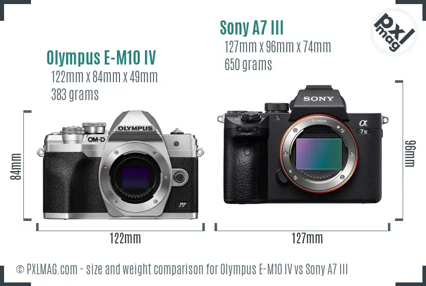 Olympus E-M10 IV vs Sony A7 III size comparison