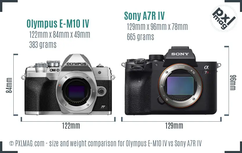 Olympus E-M10 IV vs Sony A7R IV size comparison