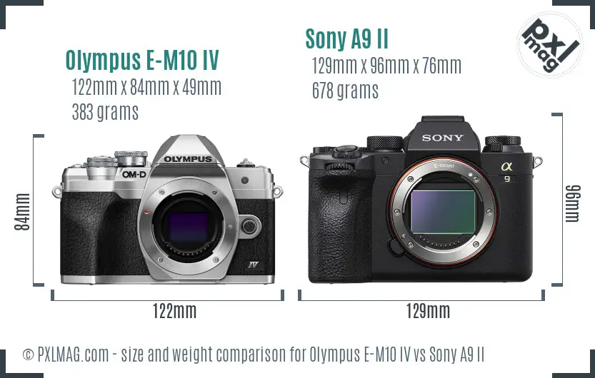 Olympus E-M10 IV vs Sony A9 II size comparison