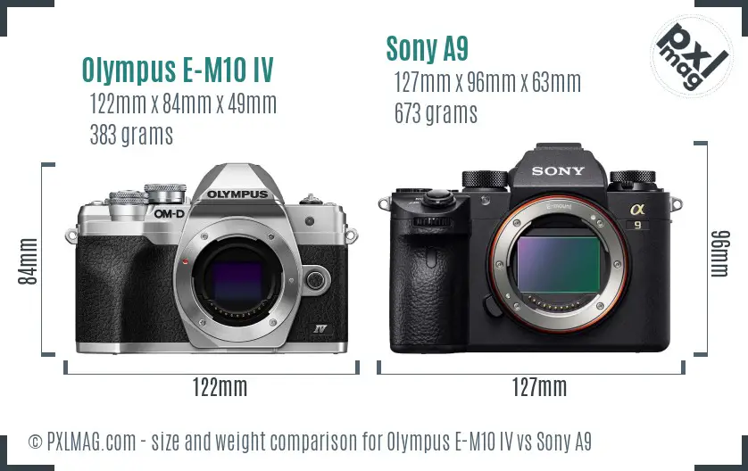 Olympus E-M10 IV vs Sony A9 size comparison