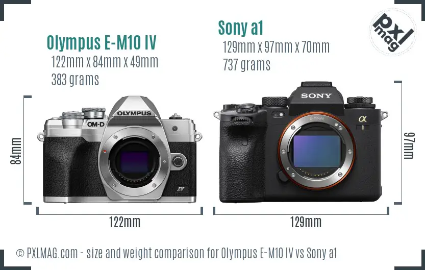 Olympus E-M10 IV vs Sony a1 size comparison