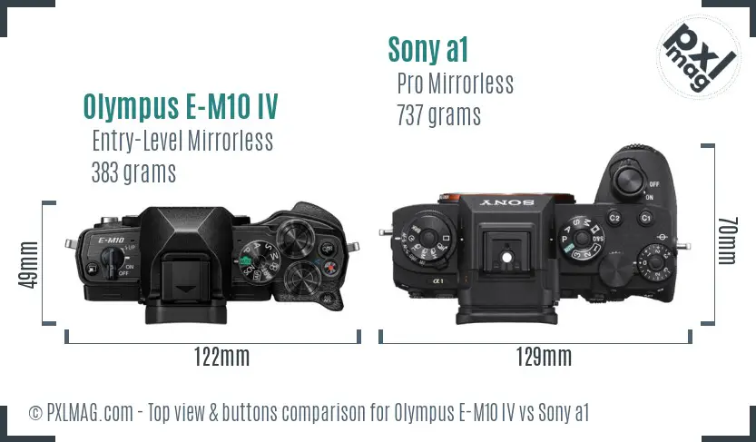 Olympus E-M10 IV vs Sony a1 top view buttons comparison