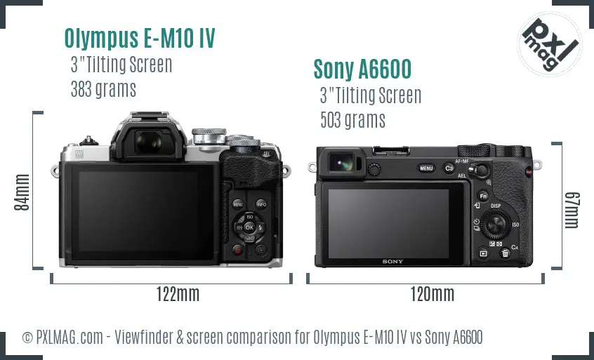 Olympus E-M10 IV vs Sony A6600 Screen and Viewfinder comparison