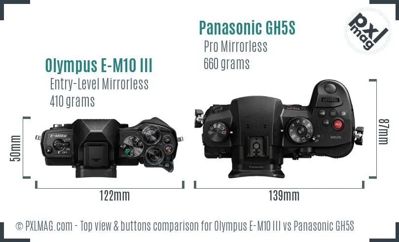 Olympus E-M10 III vs Panasonic GH5S top view buttons comparison