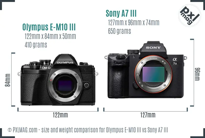 Olympus E-M10 III vs Sony A7 III size comparison