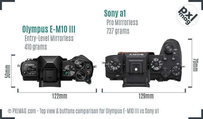 Olympus E-M10 III vs Sony a1 top view buttons comparison