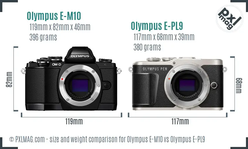 Olympus E-M10 vs Olympus E-PL9 size comparison