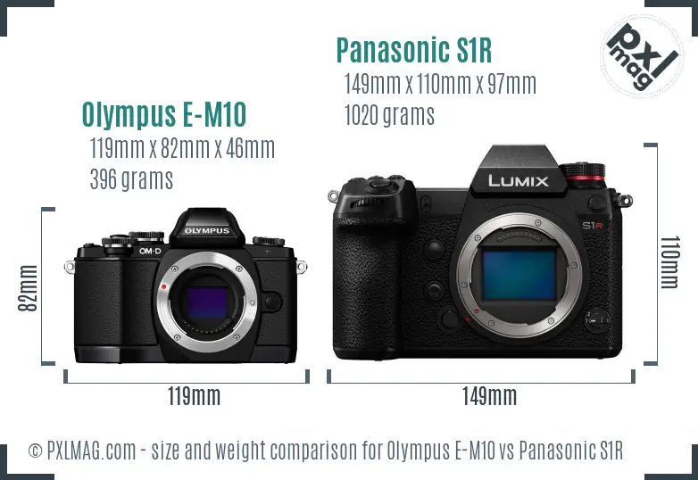 Olympus E-M10 vs Panasonic S1R size comparison