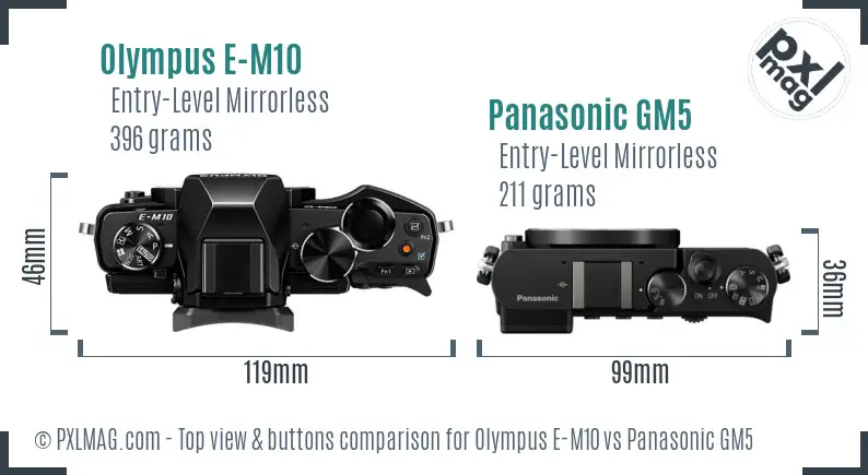 Olympus E-M10 vs Panasonic GM5 top view buttons comparison