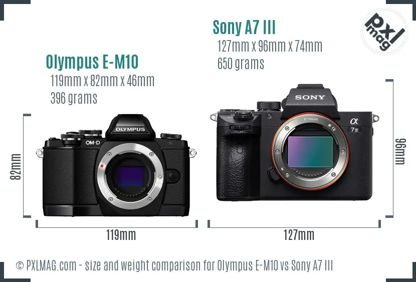Olympus E-M10 vs Sony A7 III size comparison