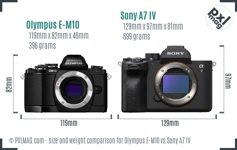Olympus E-M10 vs Sony A7 IV size comparison