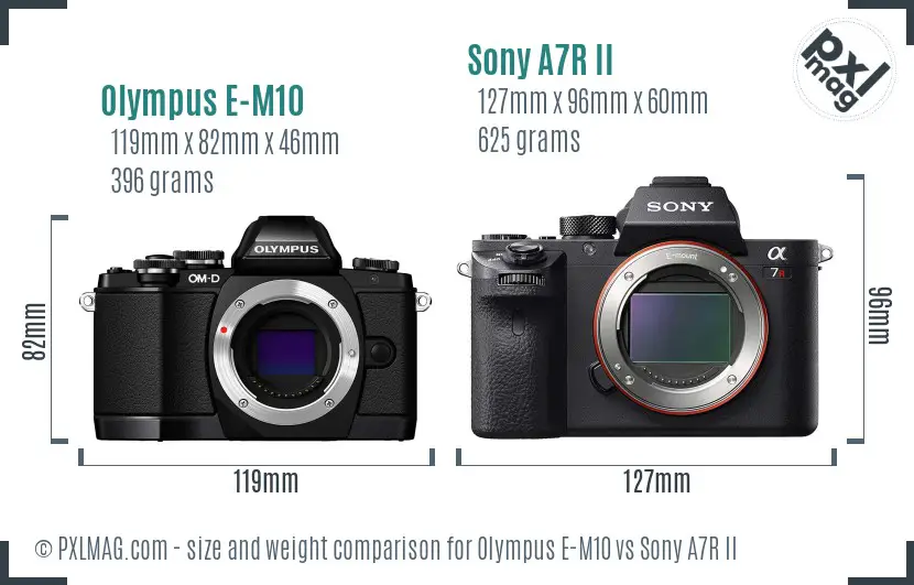 Olympus E-M10 vs Sony A7R II size comparison