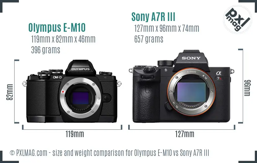 Olympus E-M10 vs Sony A7R III size comparison