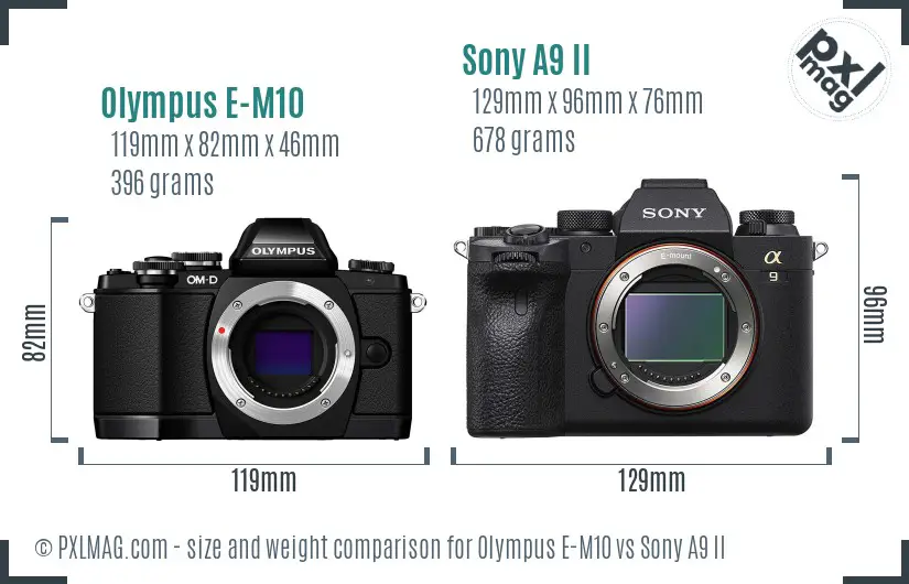 Olympus E-M10 vs Sony A9 II size comparison