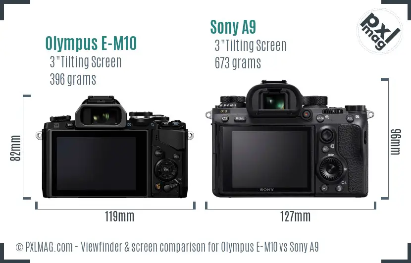Olympus E-M10 vs Sony A9 Screen and Viewfinder comparison
