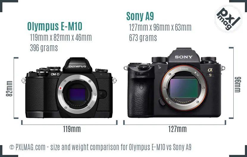 Olympus E-M10 vs Sony A9 size comparison