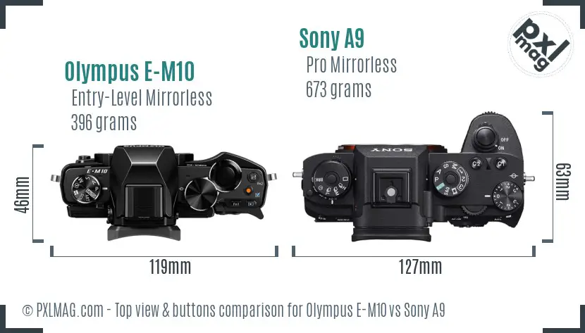 Olympus E-M10 vs Sony A9 top view buttons comparison