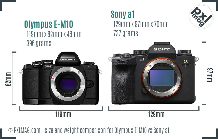 Olympus E-M10 vs Sony a1 size comparison