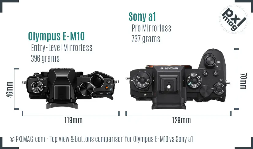 Olympus E-M10 vs Sony a1 top view buttons comparison