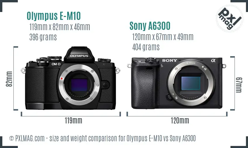 Olympus E-M10 vs Sony A6300 size comparison