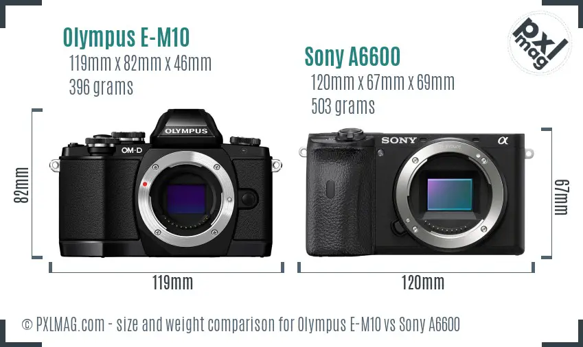 Olympus E-M10 vs Sony A6600 size comparison