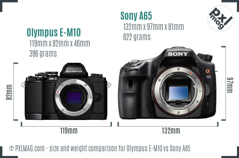 Olympus E-M10 vs Sony A65 size comparison Olympus E-M10 vs Sony A65 size comparison