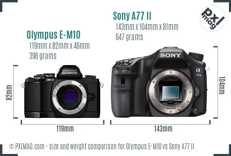 Olympus E-M10 vs Sony A77 II size comparison