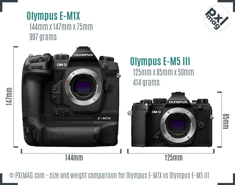 Olympus E-M1X vs Olympus E-M5 III size comparison