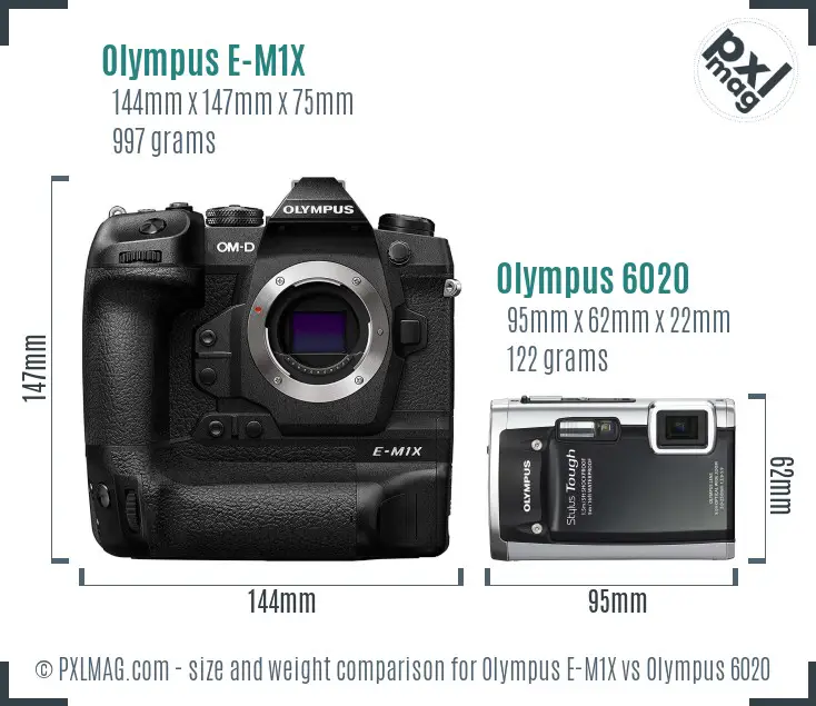 Olympus E-M1X vs Olympus 6020 size comparison
