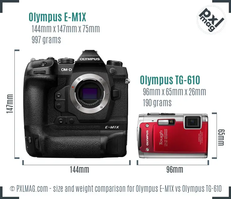 Olympus E-M1X vs Olympus TG-610 size comparison