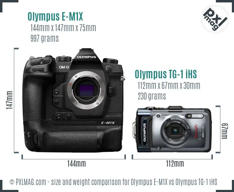 Olympus E-M1X vs Olympus TG-1 iHS size comparison