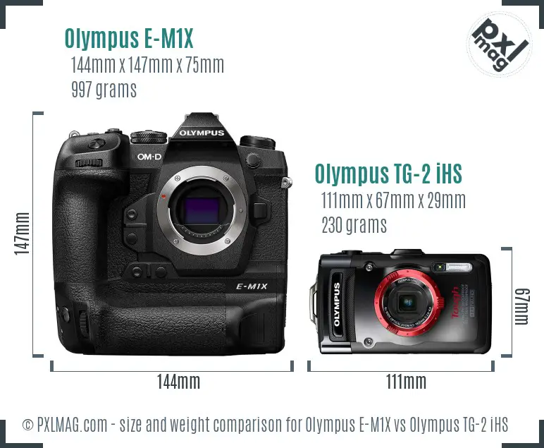Olympus E-M1X vs Olympus TG-2 iHS size comparison