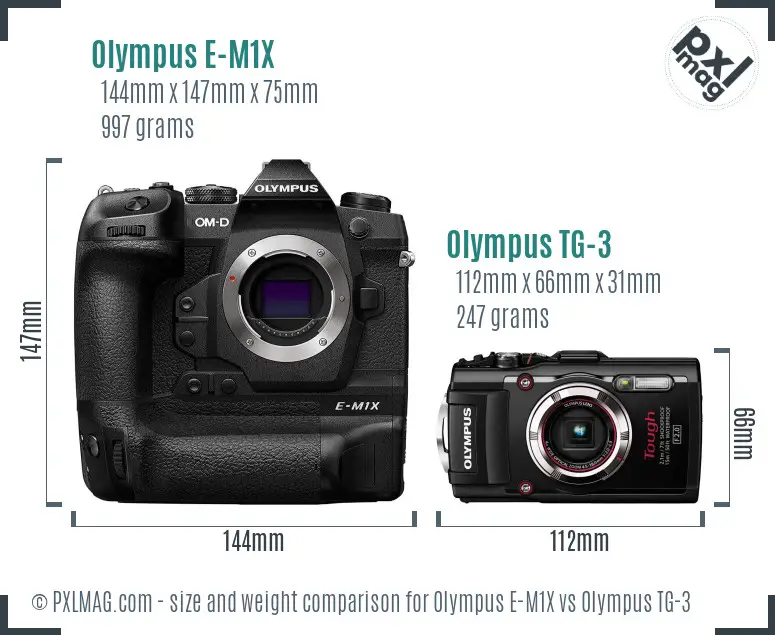 Olympus E-M1X vs Olympus TG-3 size comparison
