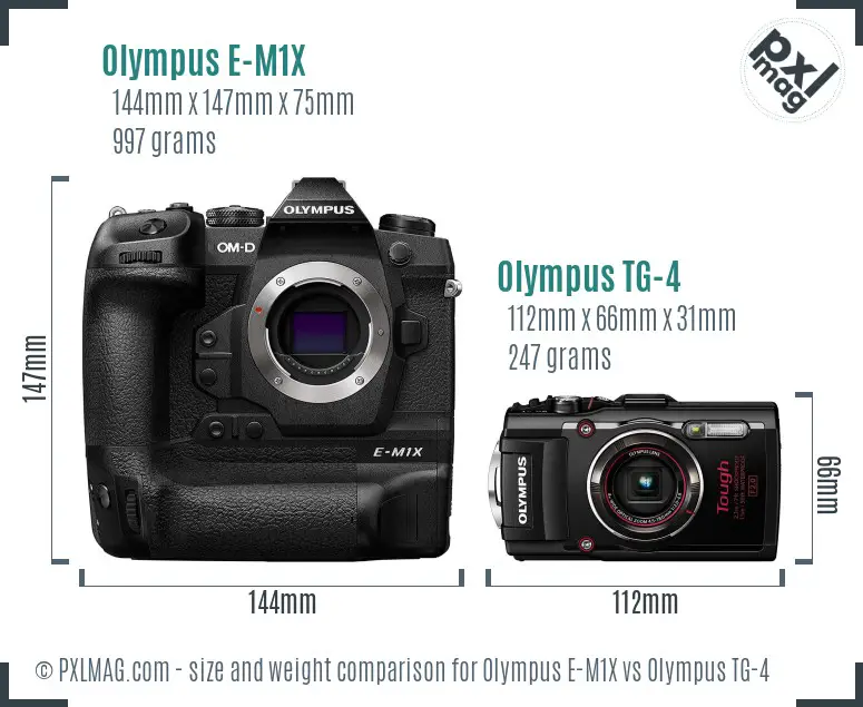 Olympus E-M1X vs Olympus TG-4 size comparison