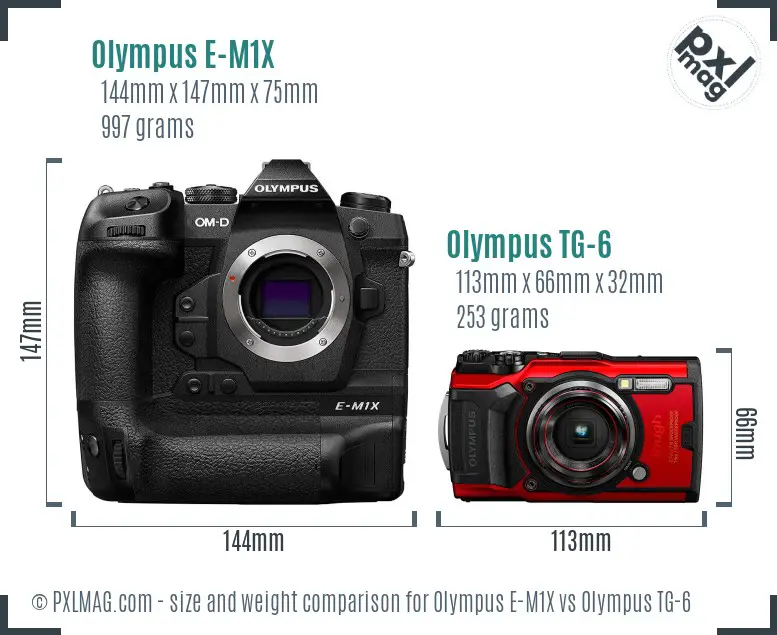 Olympus E-M1X vs Olympus TG-6 size comparison