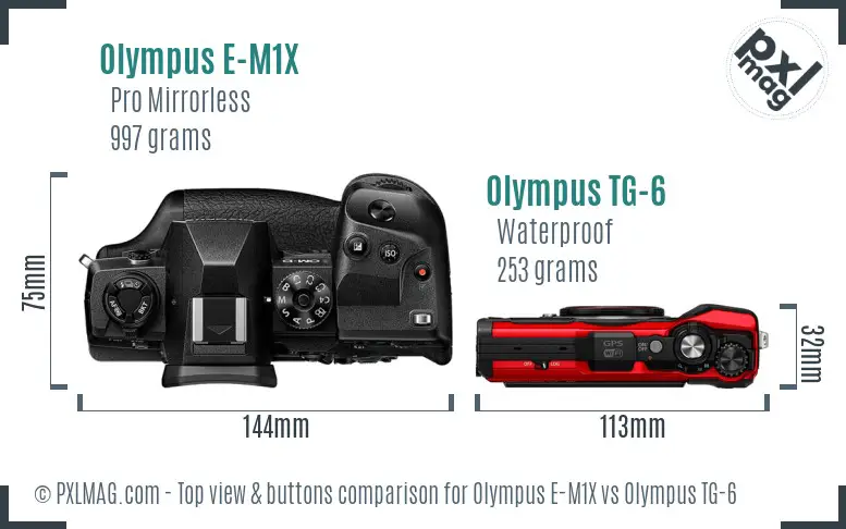 Olympus E-M1X vs Olympus TG-6 top view buttons comparison