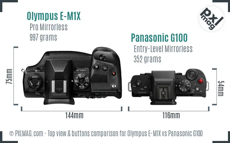 Olympus E-M1X vs Panasonic G100 top view buttons comparison