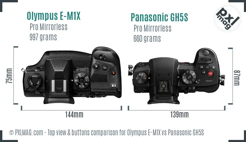 Olympus E-M1X vs Panasonic GH5S top view buttons comparison