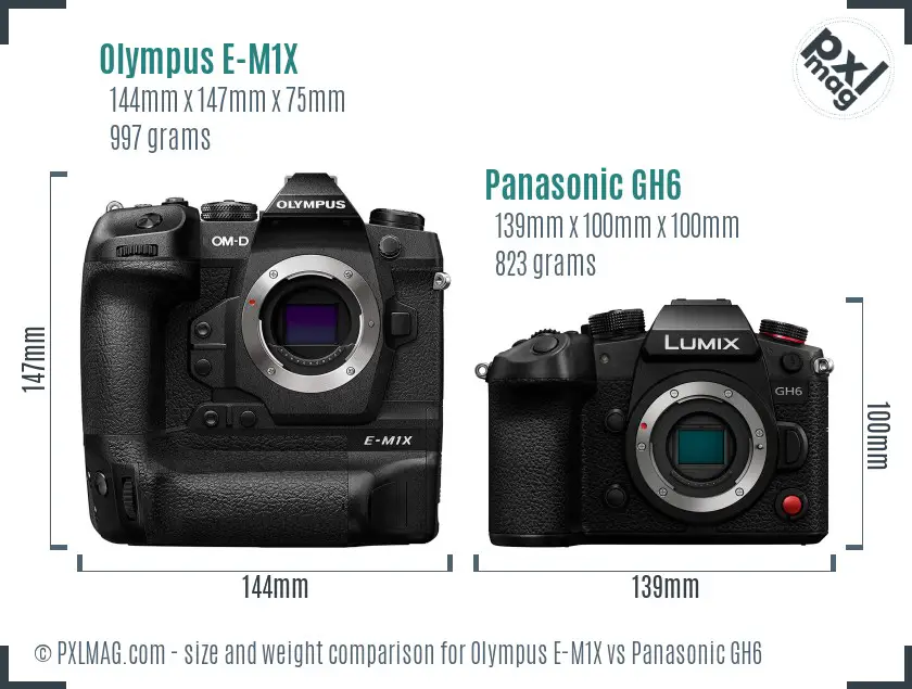 Olympus E-M1X vs Panasonic GH6 size comparison