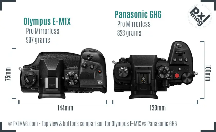 Olympus E-M1X vs Panasonic GH6 top view buttons comparison