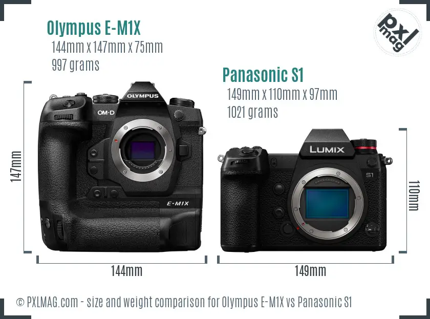 Olympus E-M1X vs Panasonic S1 size comparison