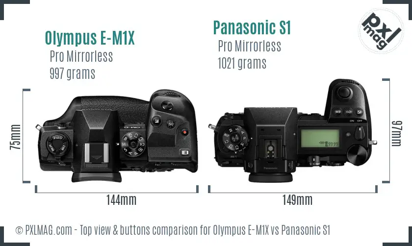 Olympus E-M1X vs Panasonic S1 top view buttons comparison