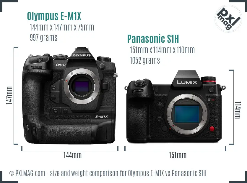 Olympus E-M1X vs Panasonic S1H size comparison