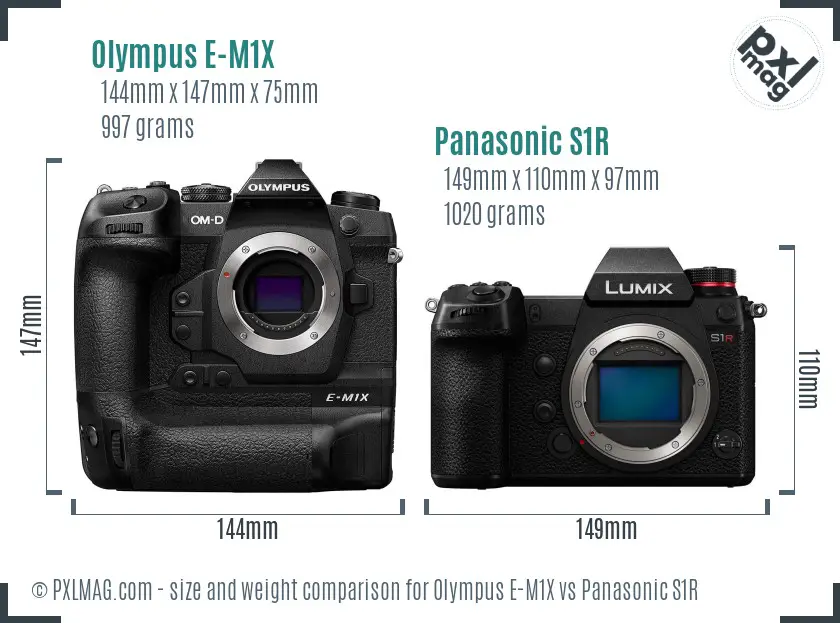 Olympus E-M1X vs Panasonic S1R size comparison