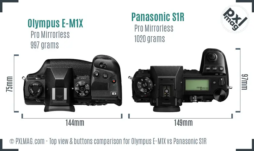Olympus E-M1X vs Panasonic S1R top view buttons comparison